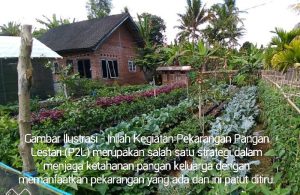 Dinas Pertanian Pringsewu Akan Evaluasi KWT Yang Mati Suri