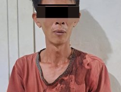 Curat di PT. AKG Sungsang Way Kanan, Curi 55 Tandan Sawit Satu Pelaku diamankan Polisi