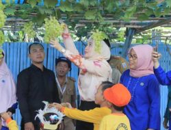 Bunda PAUD Way Kanan Ajak Anak-Anak PAUD Berwisata Agro di Kebun Anggur