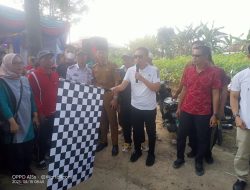 Wabup Ardian Saputra Buka Kegiatan Jalan Sehat Kecamatan Abung Semuli