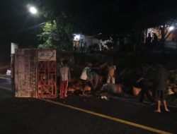 Hilang Kendali, Truk Pengangkut Sayur Terbalik