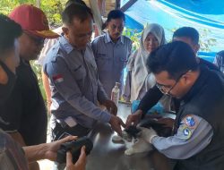 Waspada Virus Rabies, Disbunnak Ingatkan Masyarakat Yang Pelihara Kucing