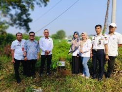 Hari Lingkungan Hidup Sedunia, DLH, Forkopimda dan PWI Lampung Utara Melaksanakan Tanam Pohon Serentak