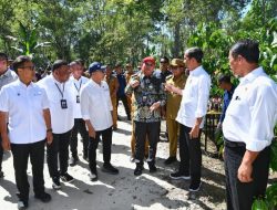 Panen Kopi di Lampung Barat, Presiden Jokowi Dorong Peningkatan Produktivitas