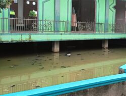 Hanya Rehab Kolam Ikan, Disdikbud Metro Habiskan APBD Ratusan Juta