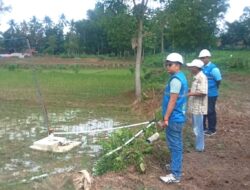 Dorong Electrifiying Agriculture, PLN Natar Hadirkan SPLU untuk Tingkatkan Produktivitas Petani