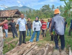 Waka DPRD Lamsel Bella Jayanti Tinjau Jembatan Diterjang Banjir