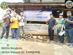 Tim Gabungan Sosialisasi Mitigasi Satwa di Sekincau, Tapak Diduga Harimau Ternyata Tapir