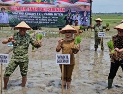 TNI–Pemprov–Daerah Bersatu, Lampung Timur Perkuat Lumbung Pangan Nasional