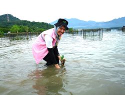 Dorong Keberlanjutan Pesisir melalui Program TJSL, PLN UID Lampung tanam 33.000 Mangrove