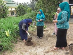 Satu Desa Tanam Pepaya, Ekonomi Keluarga Bergerak