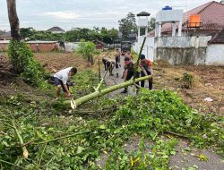 Brimob–BPBD Gerak Cepat, Pohon Tumbang di Tanjung Harapan Disingkirkan
