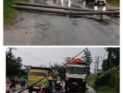 TIANG LISTRIK RUBUH, MASGAR MACET TOTAL
