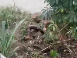 Bikin Geger Warga Pringsewu, Korban Tenggelam Asal Talangpadang Ditemukan Sudah Tak Bernyawa
