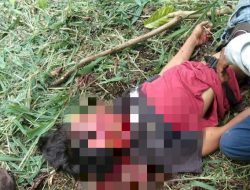 Geger di Sukau! Pemuda 23 Tahun Ditemukan Tewas dengan Luka Parah di Leher