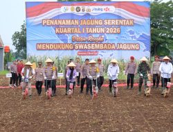 Kapolda Lampung Pimpin Penanaman Jagung Serentak di Pesawaran