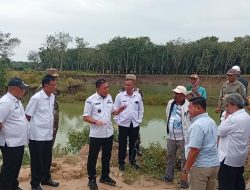 Wabup Tuba Sidak Tambang Pasir di Batu Ampar, Aktivitas Sementara Dihentikan