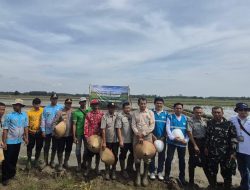 PLN Terangi Pertanian Modern