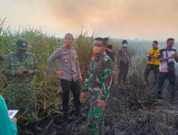 200 Personel Jinakkan Karhutla Way Kambas