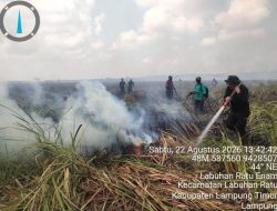 API MEMBARA DI TN WAY KAMBAS