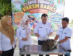 Cegah Penyebaran Rabies, Pemkab Tubaba Gelar Vaksinasi Rabies Massal 2026
