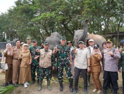 GAJAH WAY KAMBAS AMAN, TAK TERDAMPAK KEBAKARAN