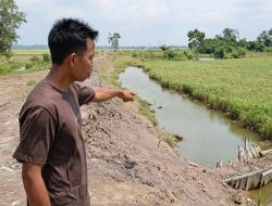 TANGGUL WAY KAMBAS MASUK AREA SAWAH, WARGA MINTA SOLUSI