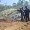 DUA TITIK TN WAY KAMBAS TERBAKAR