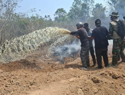 DUA TITIK TN WAY KAMBAS TERBAKAR