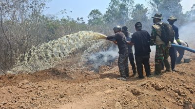 DUA TITIK TN WAY KAMBAS TERBAKAR